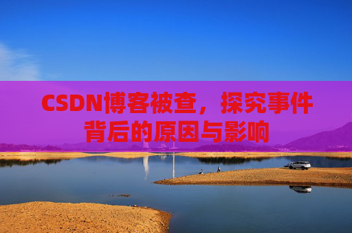 CSDN博客被查，探究事件背后的原因与影响